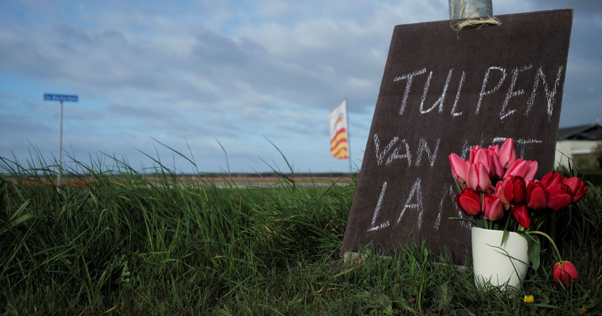 Тюльпани_7 / © Reuters