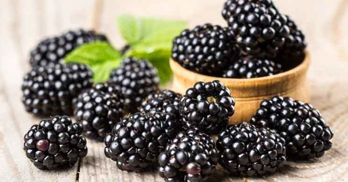 Продукти чорного кольору для схуднення
