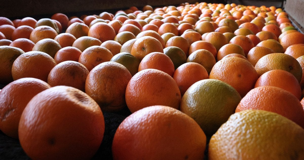 Більшість з сезонних овочів та фруктів мають достатню кількість вітамінів