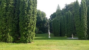 качанівка для блогів_8 / © фото: Ігор Воловодівський