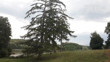 качанівка для блогів_12 / © фото: Ігор Воловодівський