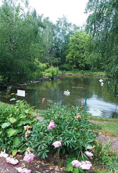 Село Солочин, відпочинок на Закарпатті / © lady.tsn.ua