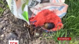 У Коростені біля будинку керівника районного геокадастру виявили розтяжку з гранатою РГД-5