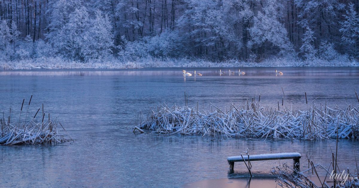 Гороскоп на 7 грудня