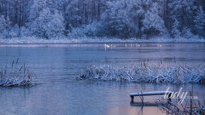 Гороскоп на 7 грудня