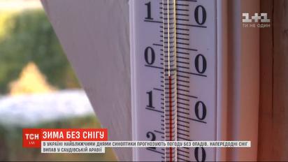 Зима без снега: сколько еще продержится тепло в Украине
