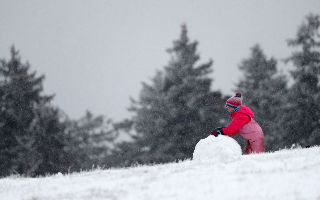 Снег накрыл Германию / © Reuters