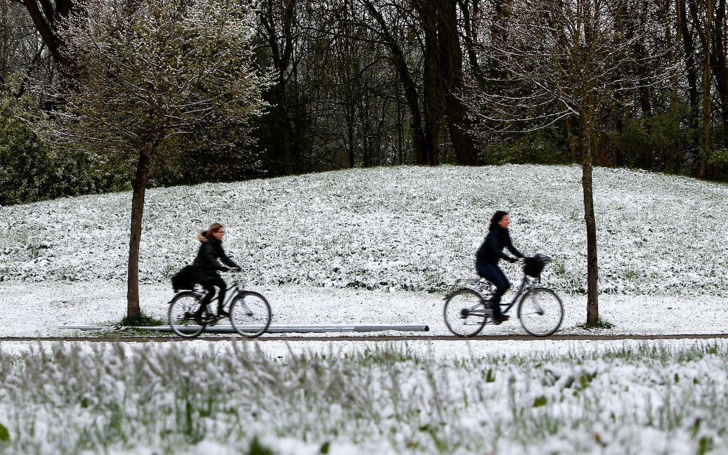 Снігопад в Австрії / © Reuters