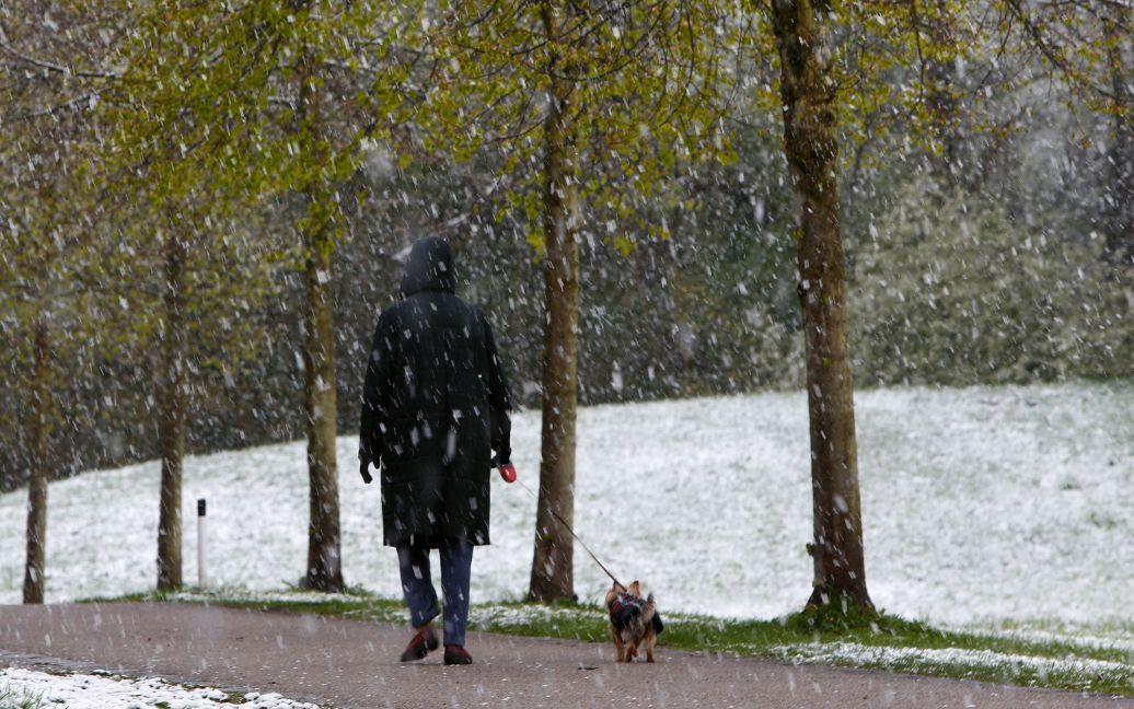 Снігопад в Австрії / © Reuters