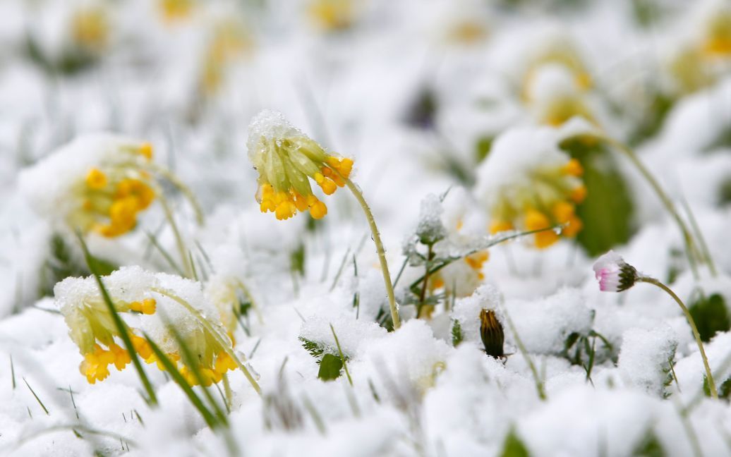 Снегопад в Австрии / © Reuters