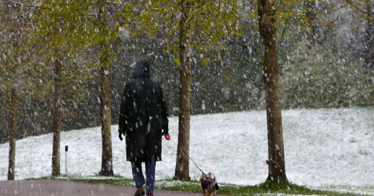 Сніг у Німеччині в квітні_3 / © Reuters