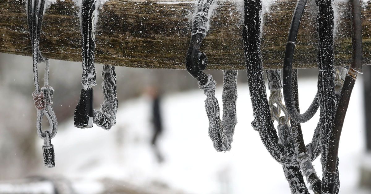 Сніг у Німеччині в квітні_13 / © Reuters