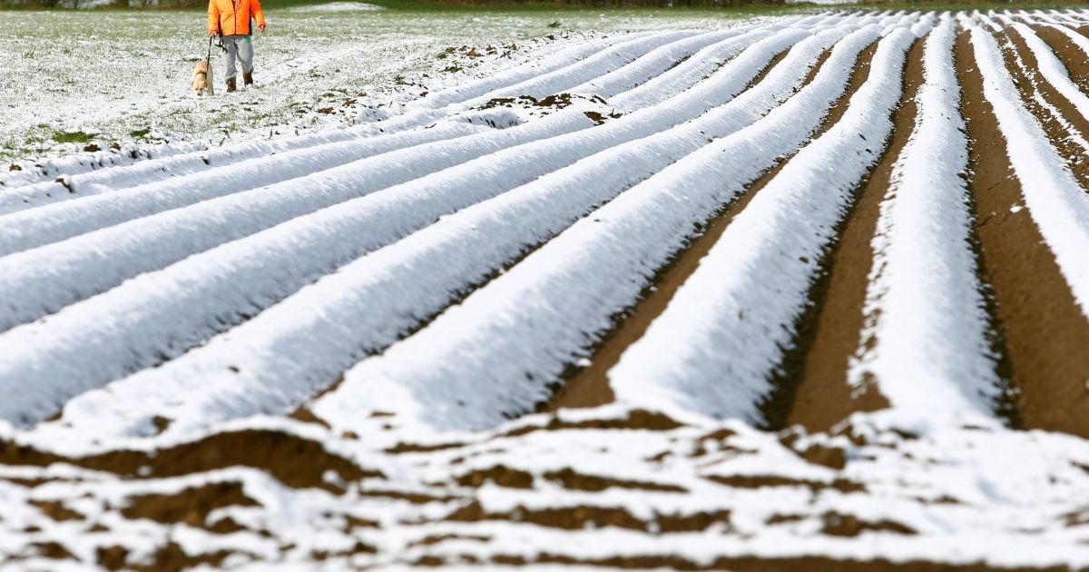 Сніг у Німеччині в квітні_2 / © Reuters