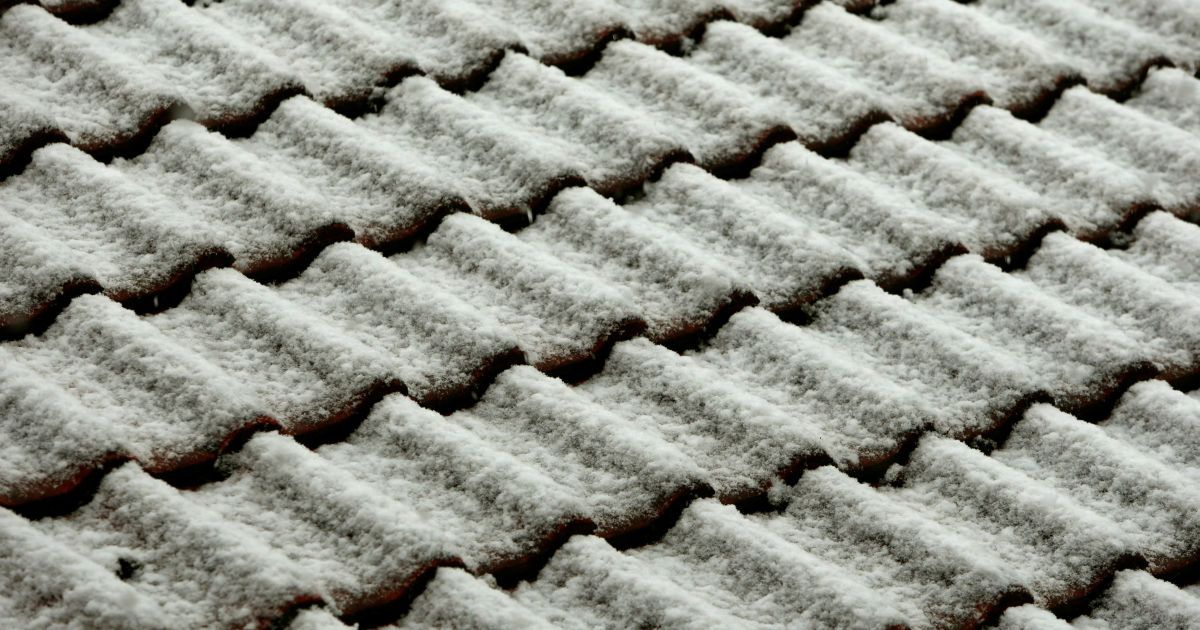 Сніг у Німеччині в квітні_6 / © Reuters