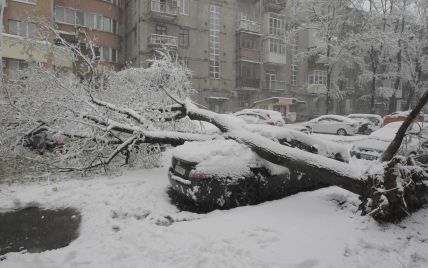 Снігова аномалія. Посеред весни Україна потерпає від катастрофічної негоди