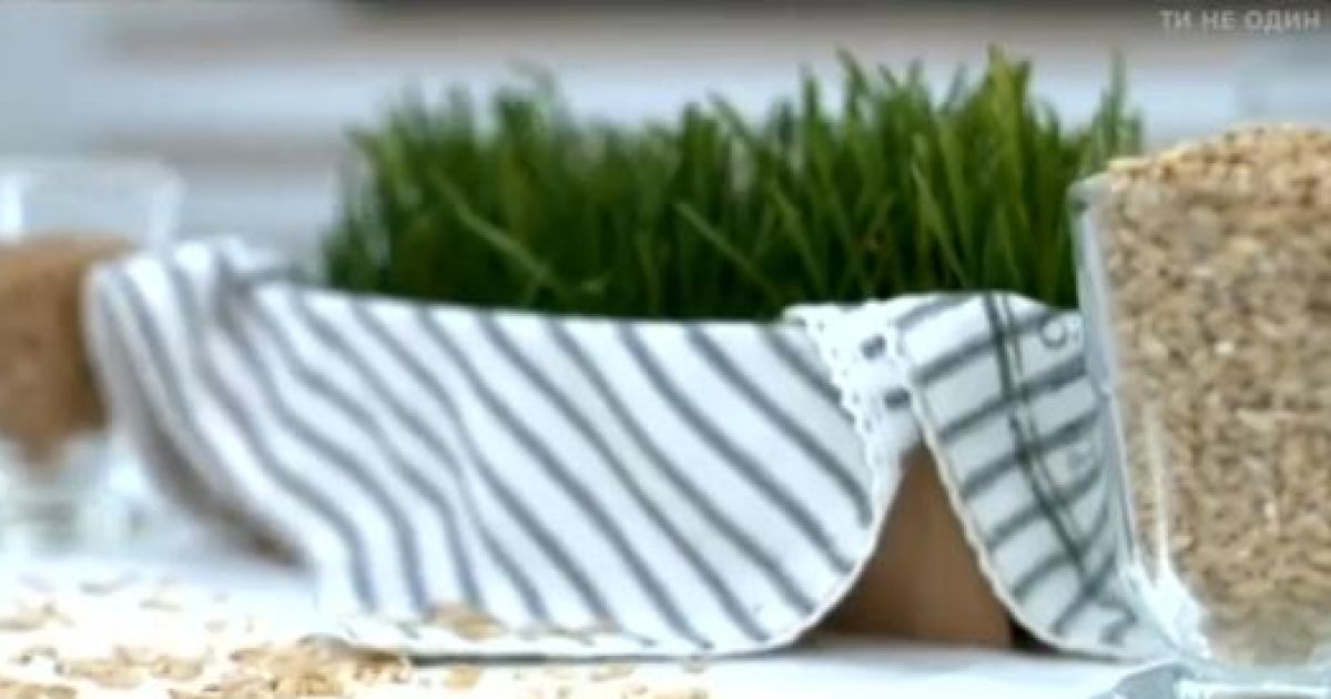 В чем польза пророщенной пшеницы