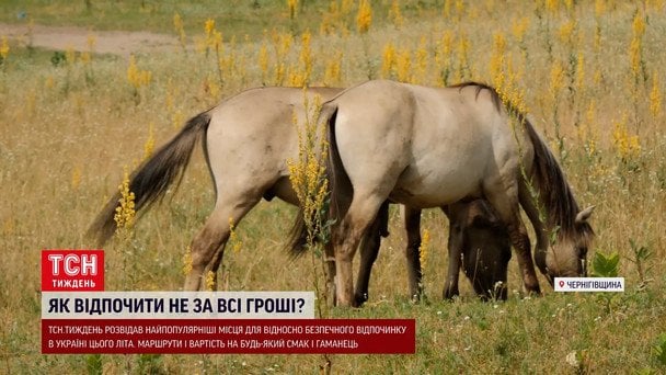  / © ТСН