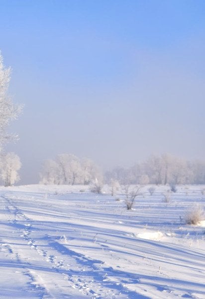 Какой сегодня, 15 февраля, день ангела