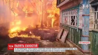 У кількох регіонах України внаслідок підпалу сухої трави загинули люди та погоріли хати