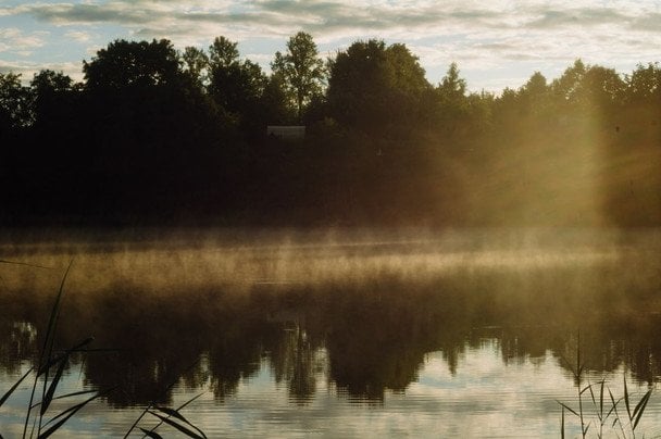 Народні прикмети 25 липня / © pexels.com