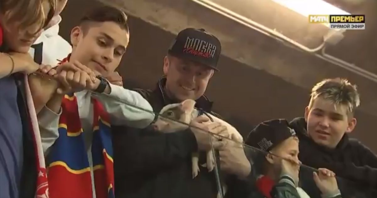 В России фанаты притащили на футбольный матч поросенка: видео стало вирусным в Сети