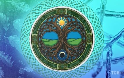Кельтский календарь деревьев-2021: что скрывают растения