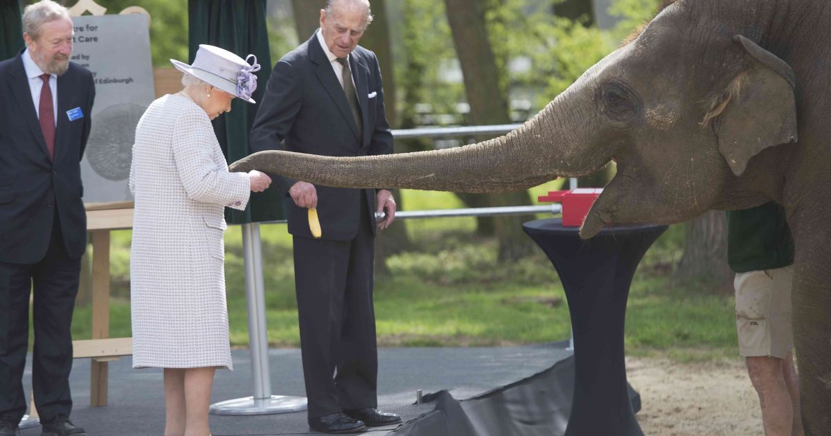 королева єлизавета зі слоном_9 / © Reuters