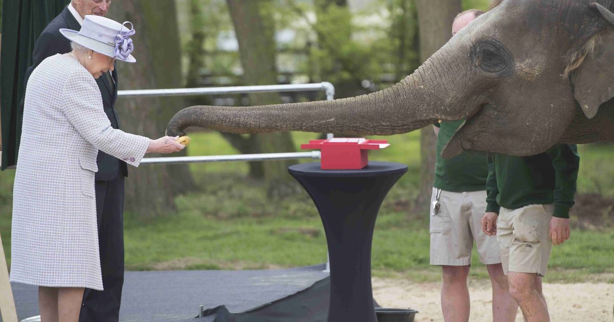 королева єлизавета зі слоном_3 / © Reuters