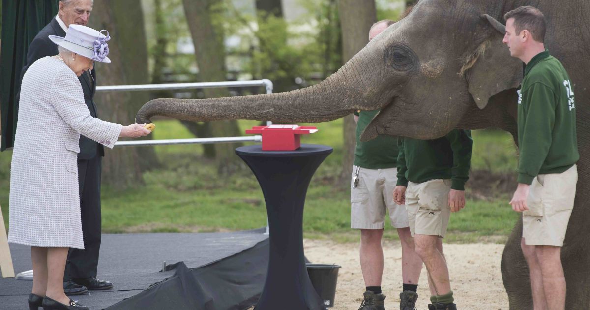 королева єлизавета зі слоном_4 / © Reuters
