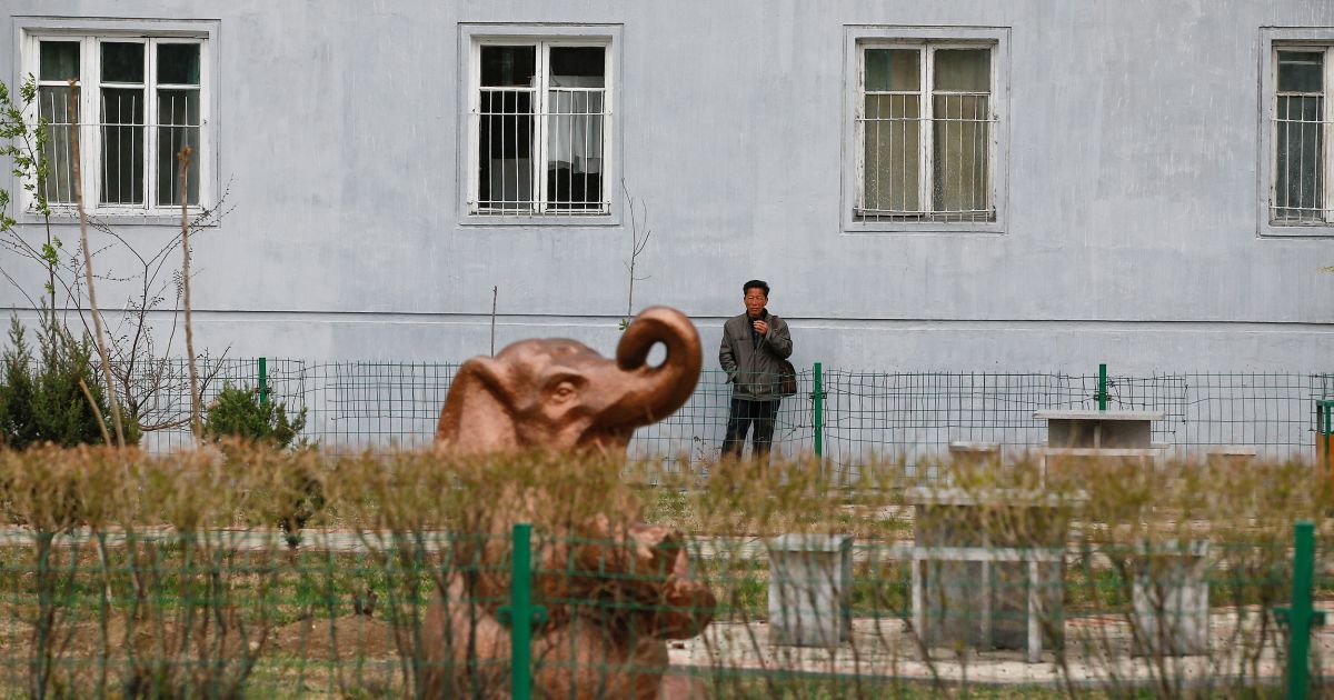 Життя в КНДР_13 / © Reuters