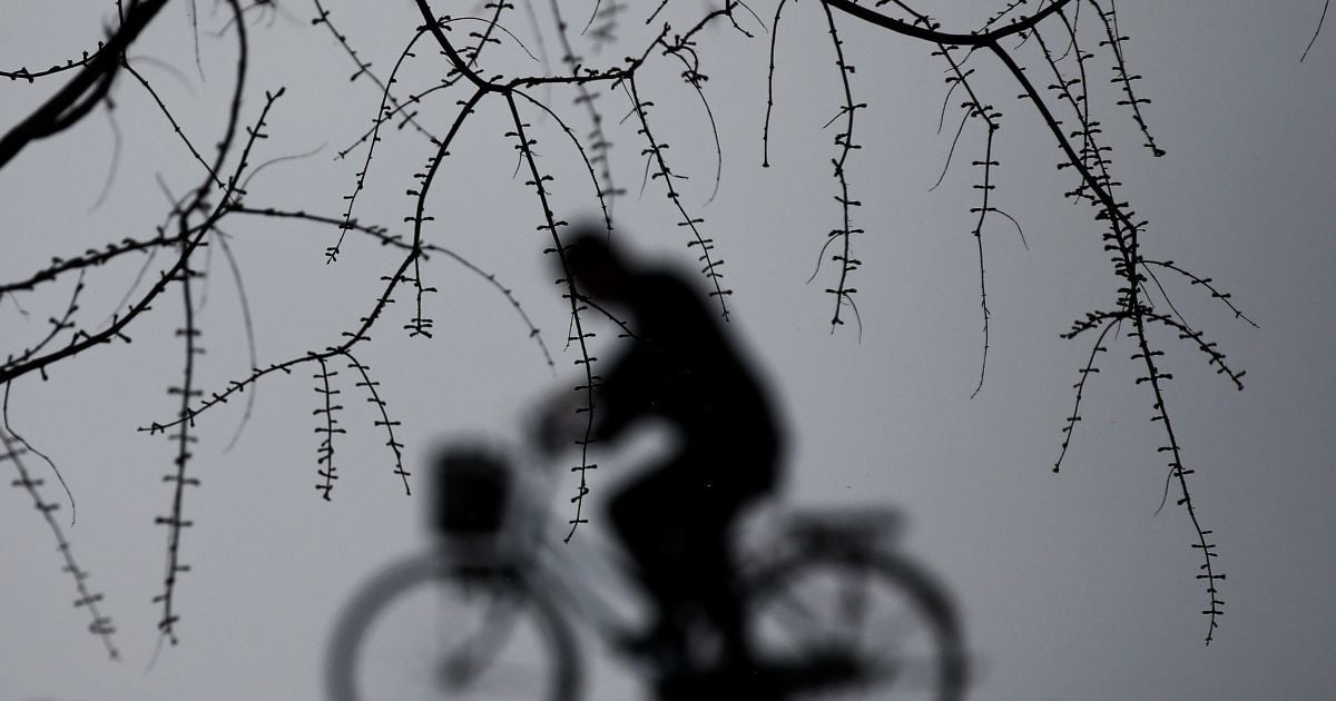 Життя в КНДР_5 / © Reuters