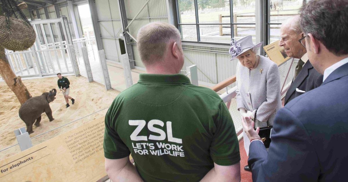 королева єлизавета зі слоном_6 / © Reuters