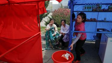 Північна Корея, КНДР, виставка квітів_11 / © Reuters