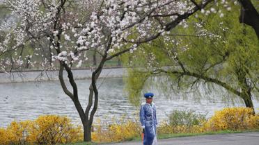 Життя в КНДР_6 / © Reuters
