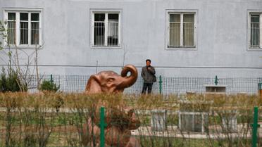 Життя в КНДР_13 / © Reuters