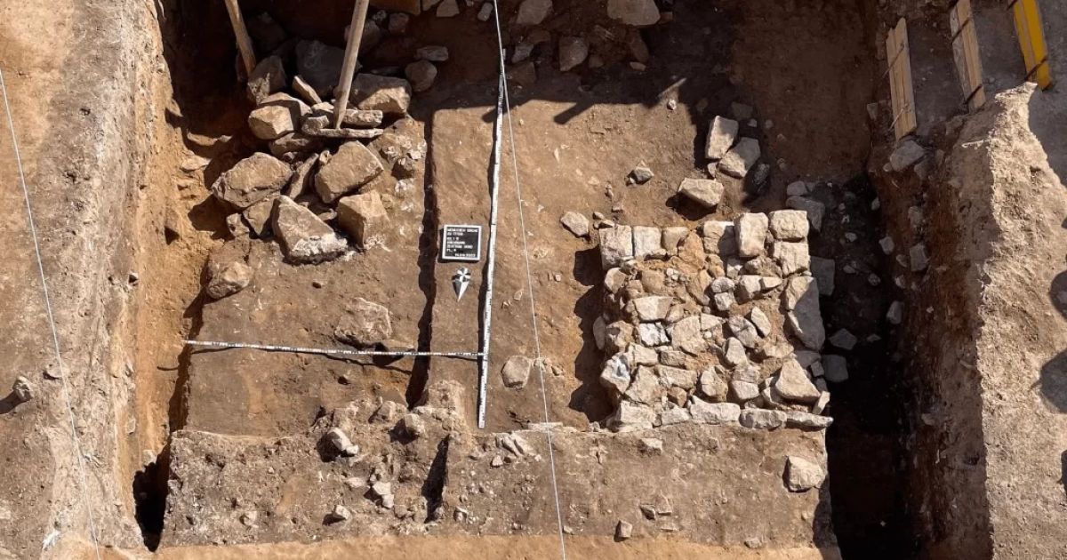 Раскопки осуществляла группа ученых Фото: State Office for Heritage Management and Archaeology Saxony-Anhalt