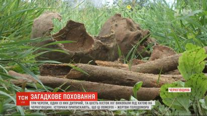 Під фундаментом будинку на Чернігівщині знайшли рештки ймовірних жертв Голодомору