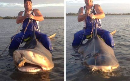 Австралієць "осідлав" агресивну акулу задля фотосесії