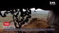 Новости с фронта: за прошедшие сутки враг 7 раз нарушил режим прекращения огня