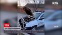 Патрульный автомобиль попал в ДТП в Одесской области