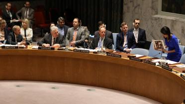 Ніккі Хейлі в Радбезі ООН_5 / © Reuters