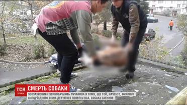 У Луцьку пса викинули з вікна 9-го поверху