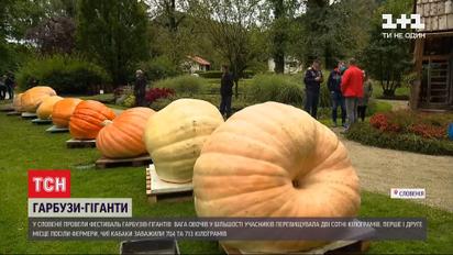Осінній рекорд: у Словенії провели фестиваль гарбузів-гігантів