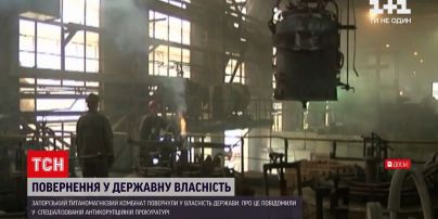 Апелляционный суд вернул запорожский титано-магниевый комбинат в собственность государства
