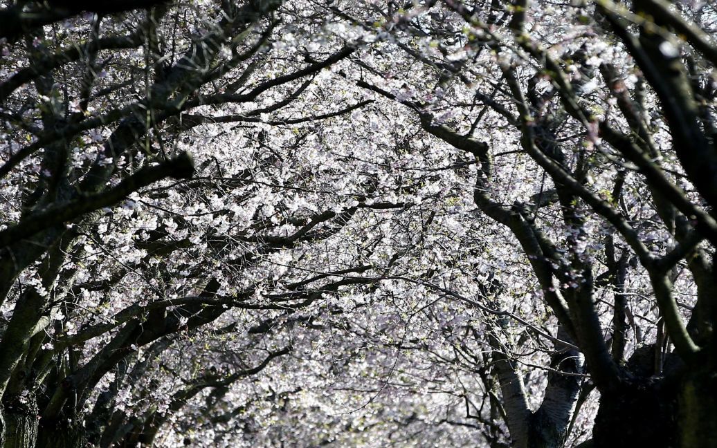 © Reuters