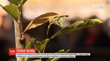 В Україні сьогодні останній теплий день перед значним похолоданням
