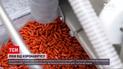 Новини світу: Велика Британія першою схвалила пігулки Molnupiravir для лікування коронавірусу