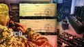 В Верховной Раде назвали сценарии мобилизации во время возможного перемирия. Коллаж ТСН.ua