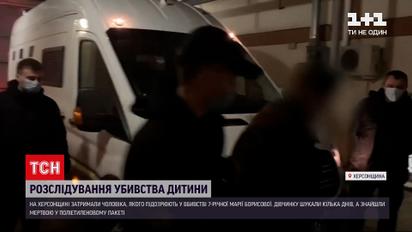 Вбивство Марії Борисової: які докази зібрали проти підозрюваного