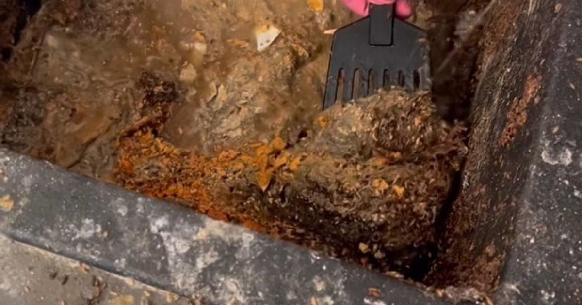 Жінка рік не прибирала через глибоку депресію: вона шокувала станом своєї квартири (відео)